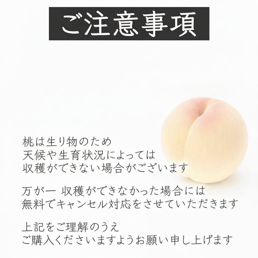 清水白桃(しみずはくとう)6〜8玉