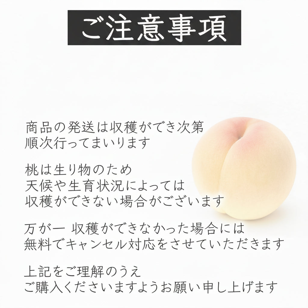 アウトレット白桃「食べる応援」6〜8玉