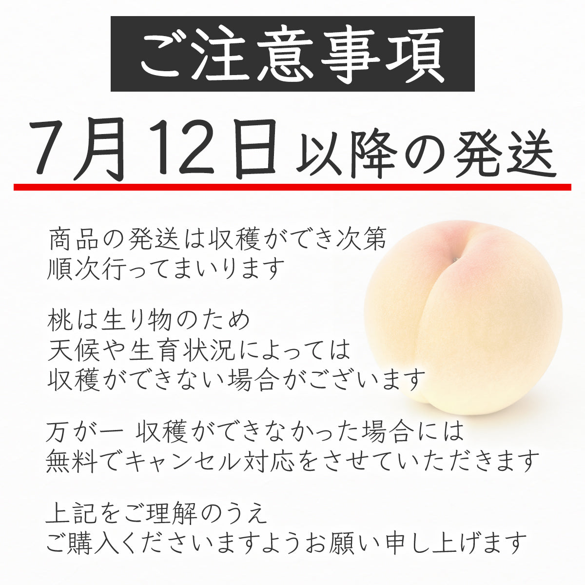 白鳳(はくほう)5〜6玉
