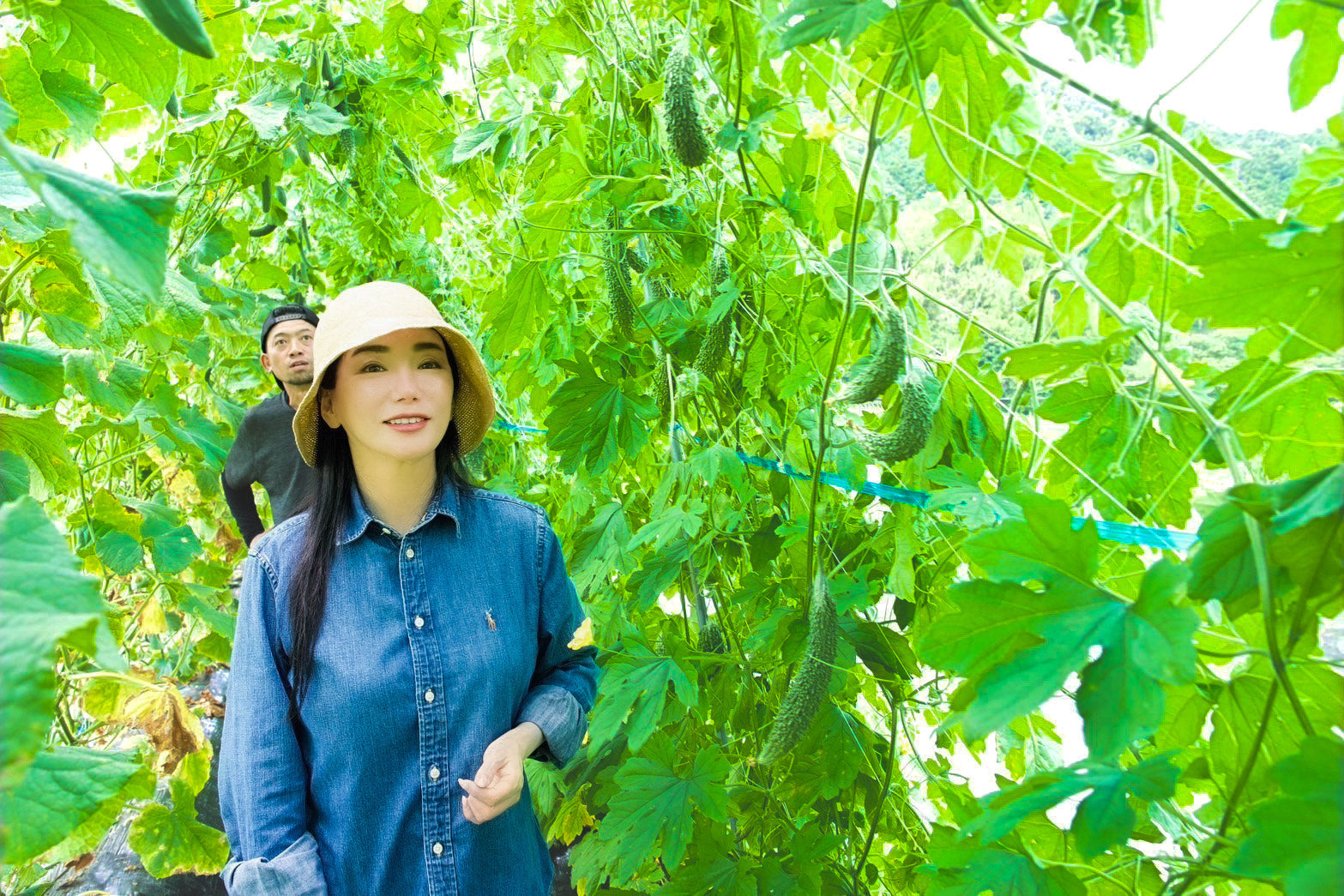大阪・豊能町ざわ農園より「おまかせ季節の無農薬野菜セット」