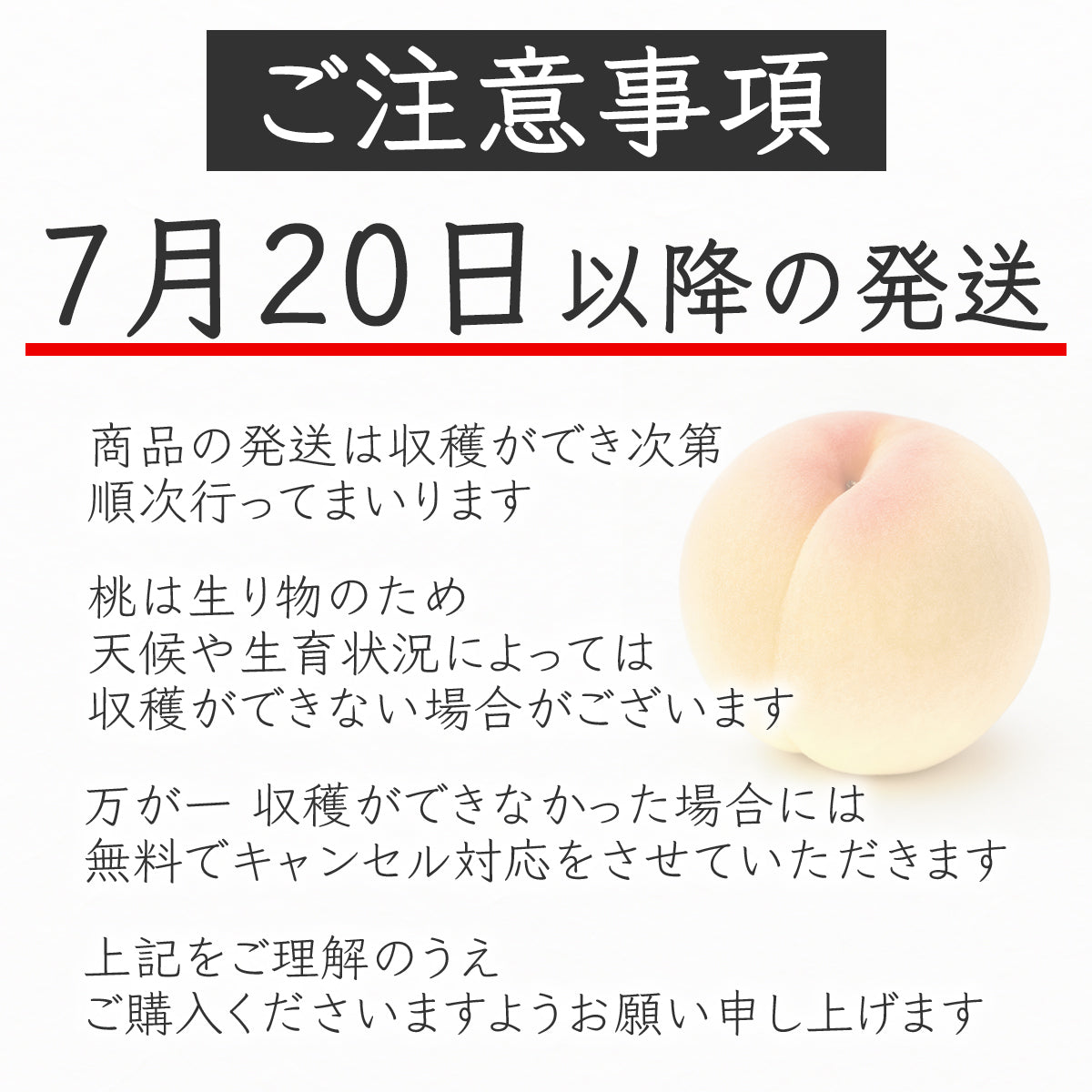 清水白桃（しみずはくとう）6〜8玉