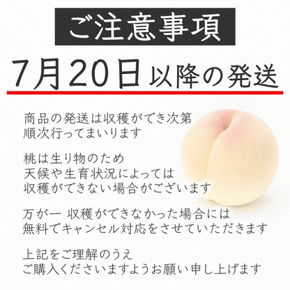 清水白桃（しみずはくとう）6〜8玉
