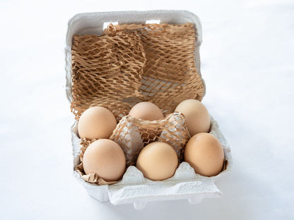 土佐ジローの卵