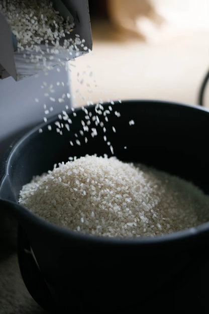 自然栽培　丹波産コシヒカリ