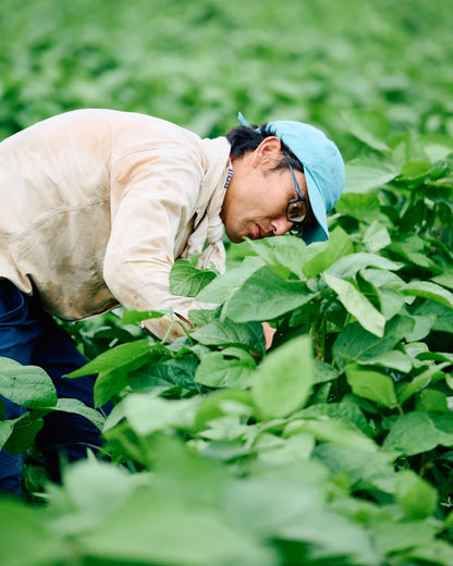丹波産　自然栽培黒枝豆