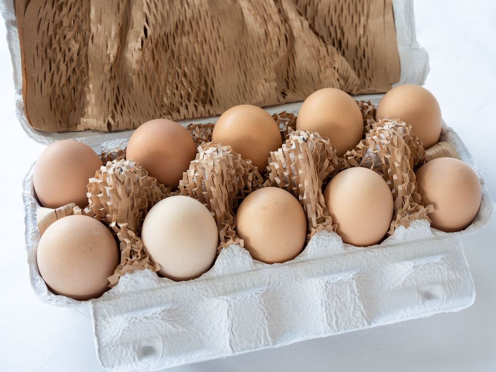 土佐ジローの卵 – まり子のふろしき