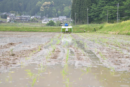 自然栽培　丹波産コシヒカリ