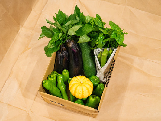 おまかせ季節の無農薬野菜セット